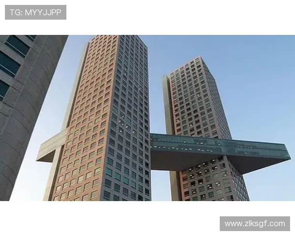 开云体育入口登录的安全保障措施与优化建议