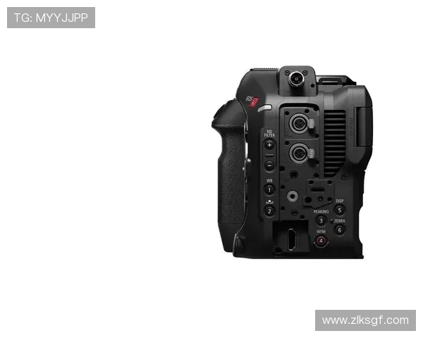 探秘尊龙登录z6官图发布中的亮眼功能与独特设计