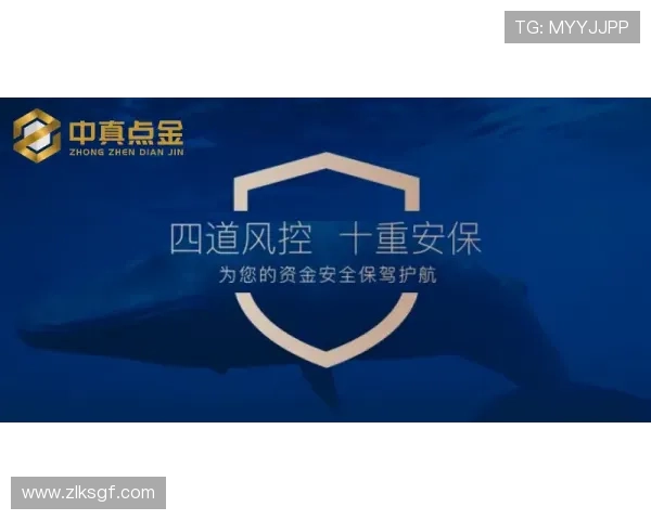 尊龙凯时国际登录平台安全可靠,保障玩家账号信息安全与资金安全的详细指南 尊龙凯时国际登录平台安全可靠,保障玩家账号信息安全与资金安全的详细指南