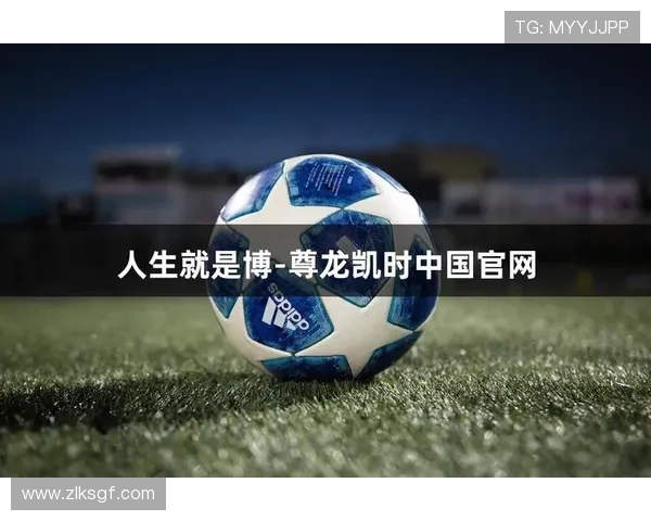 尊龙人生就是博网站为新手玩家提供详细的入门指南和操作教程